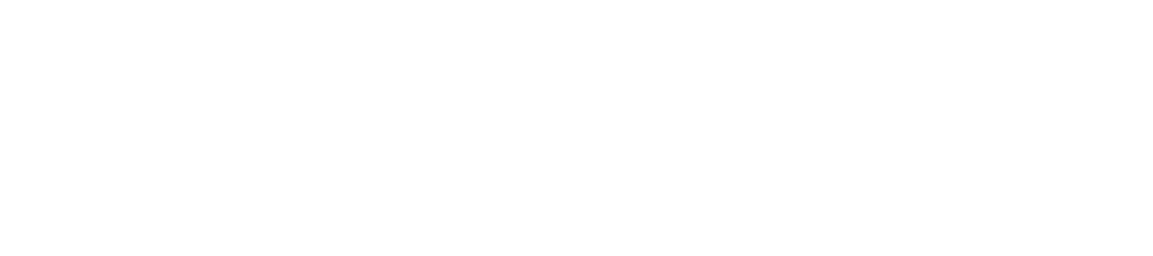 Renaissance Marine Group